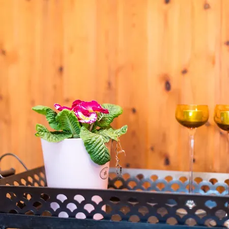 Appartement Reinskopf-1 By Interhome *