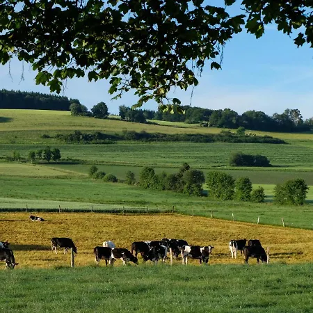 Reinskopf-1 By Interhome アパート *