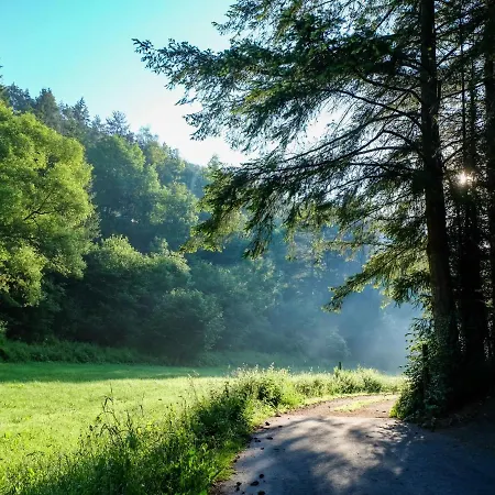 Reinskopf-1 By Interhome アパート Schönecken