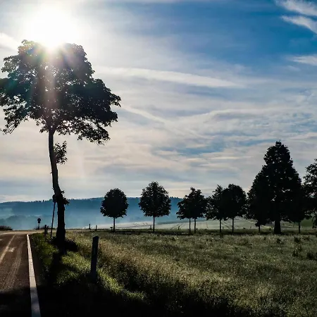 Reinskopf-1 By Interhome Schönecken