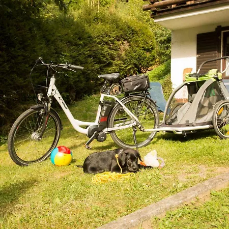 Reinskopf-1 By Interhome Schönecken