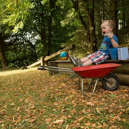 Apartamento Reinskopf-1 By Interhome Schönecken