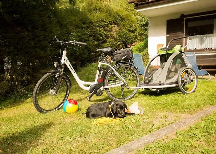 Reinskopf-1 By Interhome Schönecken